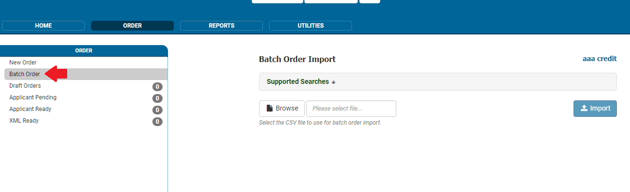 credit score criminal record check