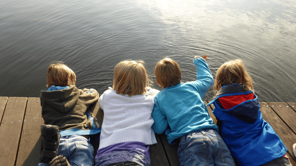 summer camp summer camp background check
